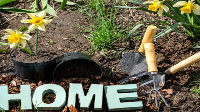 Vrtlarstvo idealna razonoda za mlade bračne parove